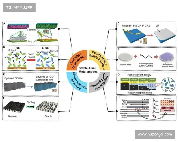 弗拉门戈伤病管理与防范策略综述