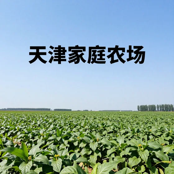 视源科技